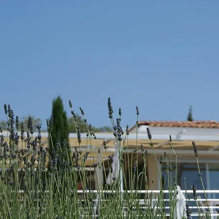 Apartament Adalar Lavanta Kalkan