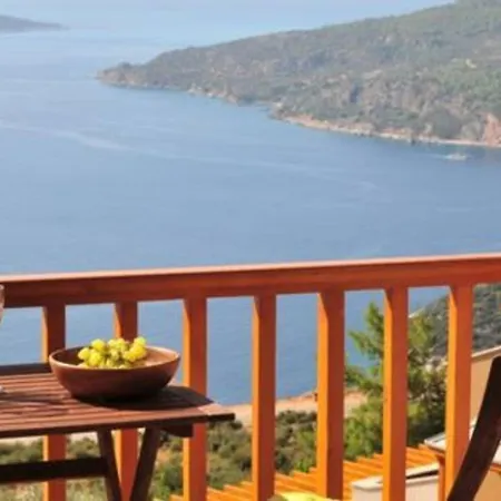 Adalar Lavanta Kalkan קס